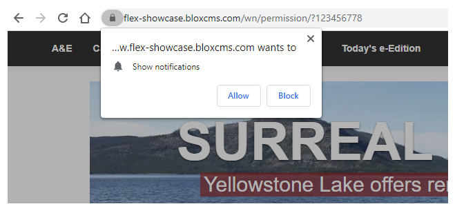 Browser permissions